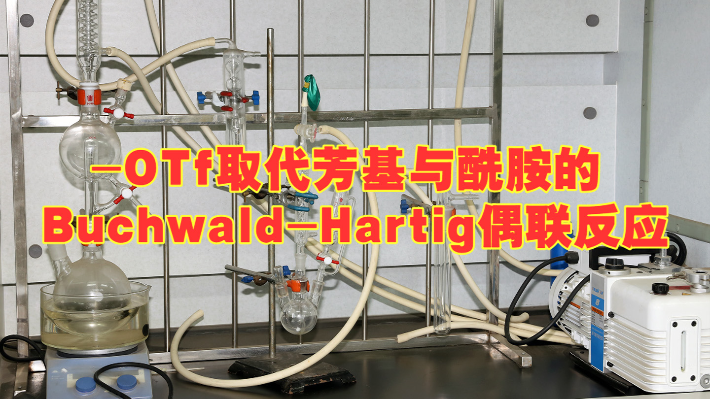 -OTf取代芳基与酰胺的Buchwald-Hartig偶联反应